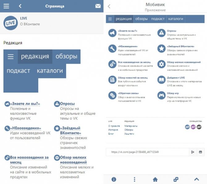 09 Просмотр страницы через Мобивик