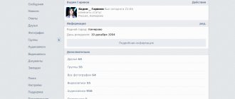 Apidog ru вход в вк с компьютера
