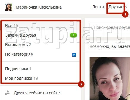 Что такое и как посмотреть Подписчиков в Одноклассниках