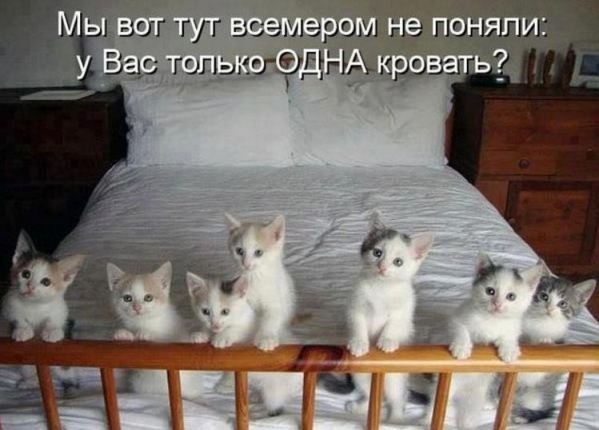 до слез