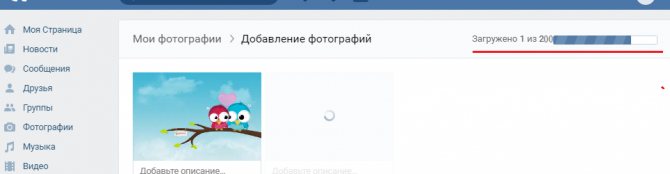 Фото загружаются