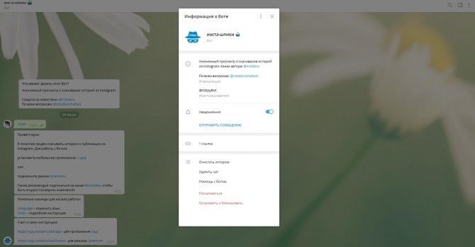 IGSpyBot называет себя инста-шпионом