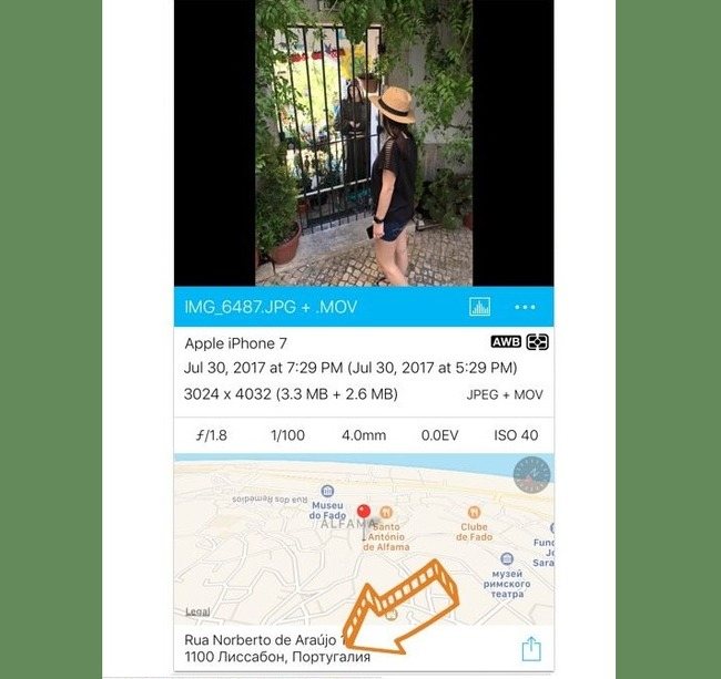 итоги работы HashPhotos