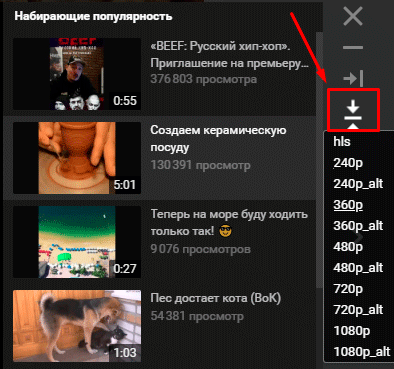 Как получить ролик с помощью VkOpt