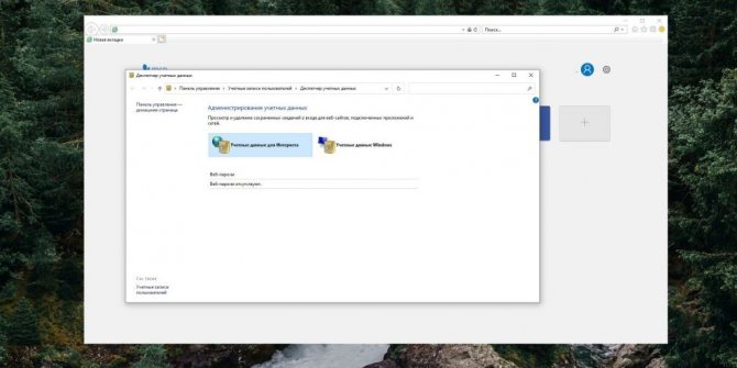 Как посмотреть сохранённые пароли в Internet Explorer
