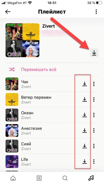 Как скачать весь плейлист