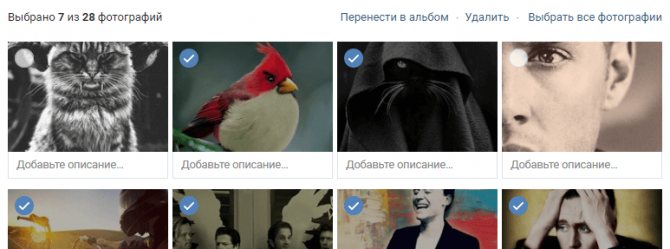 Как удалить целый альбом в ВК со всеми фото