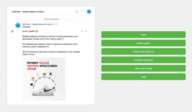Кейс Solemate