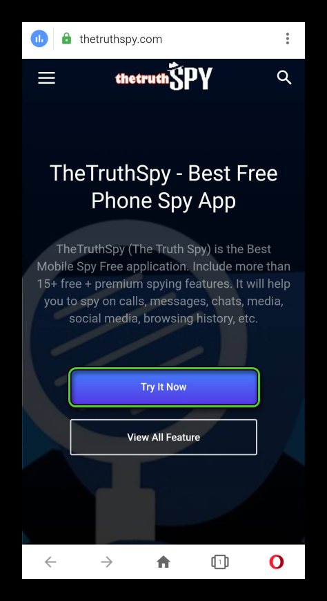 Кнопка TheTruthSpy на сайте TheTruthSpy