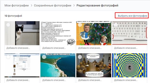 Кнопка выбора всех фотографий в альбоме в ВК