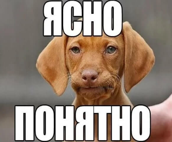 мем ясно-понятно
