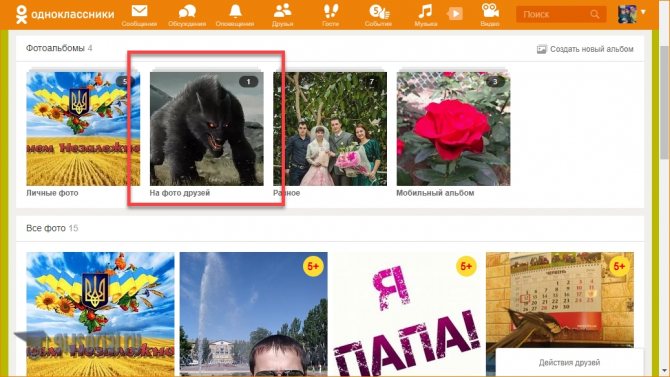 На фото друзей