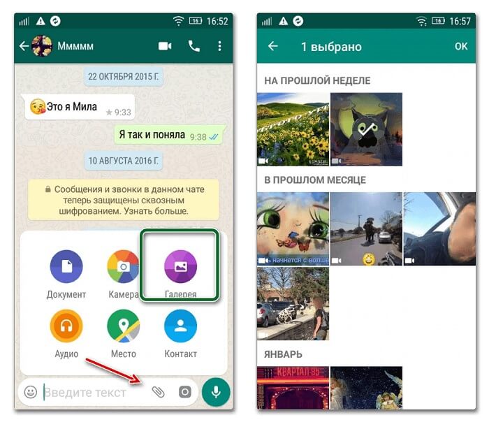 Находим поздравительную открытку в WhatsApp