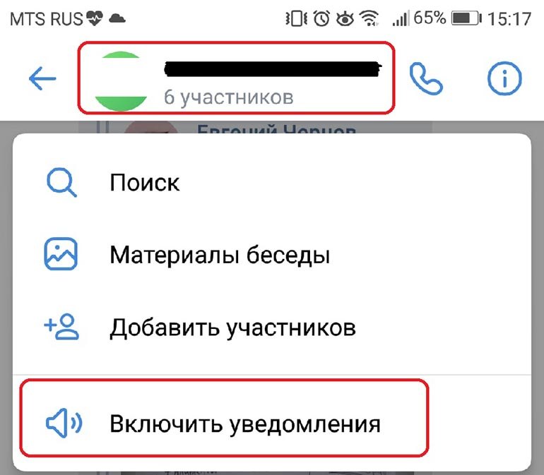 Нажимаем на название беседы и жмем выключить уведомления