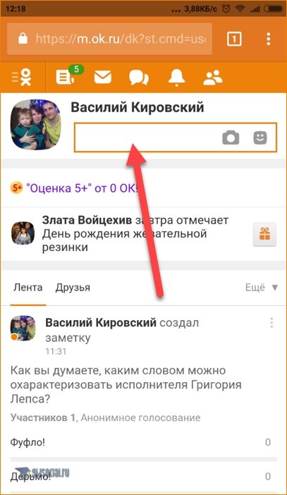 Окно статуса