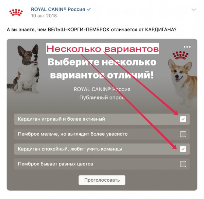 Опросы ВКонтакте