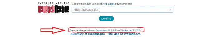 Основная информация по сайту livepage