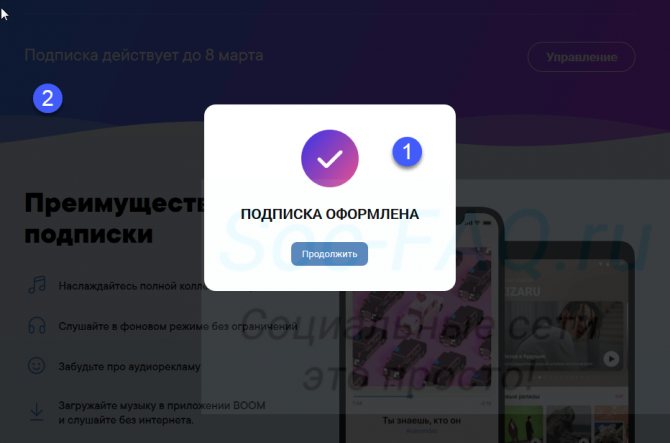 Подписка успешно оформлена