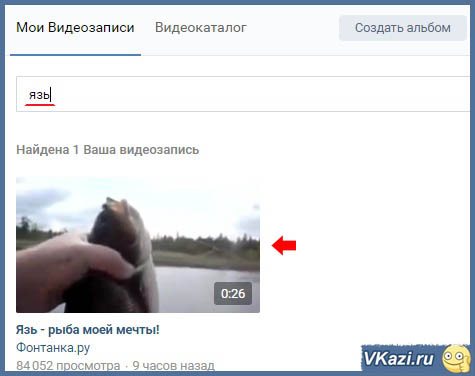 поиск по разделу Мои видеозаписи