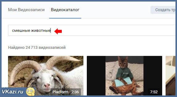 поиск видеозаписей
