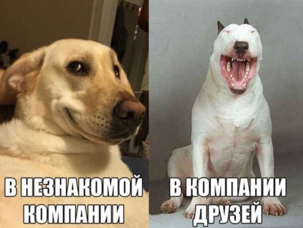 прикольные