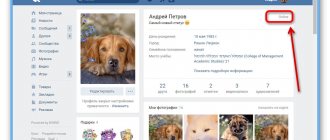 Пример страницы со статусом Онлайн на сайте ВКонтакте