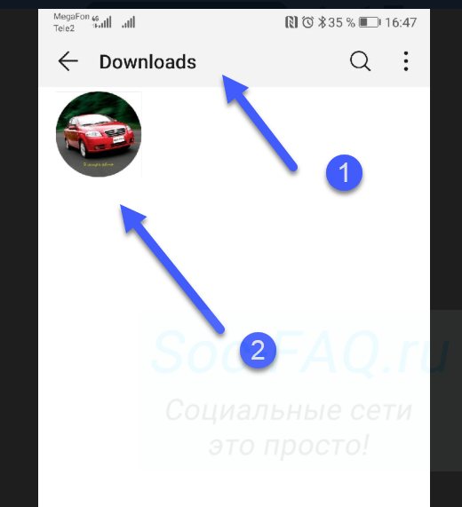 Просмотр загруженного файла