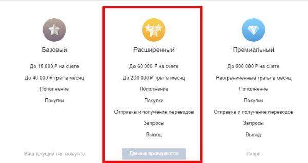 Расширенный аккаунт VK Pay