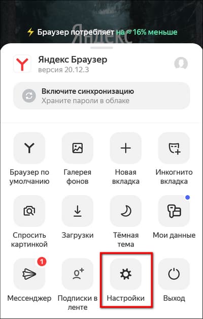 раздел настройки Яндекс браузера на телефоне