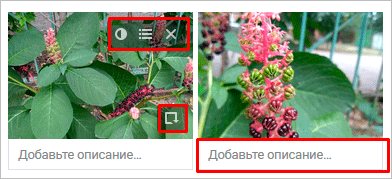 Редактирование картинок