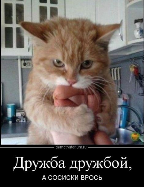 с добрым утром