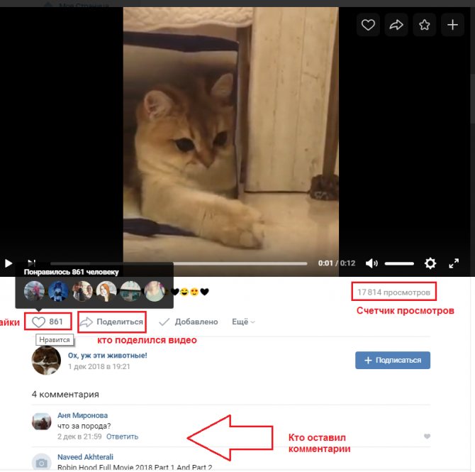 Счетчики лайков, просмотров и комменты