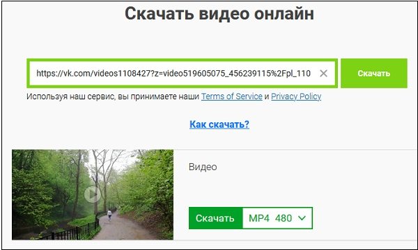 Скачивание файла с Savefrom.net