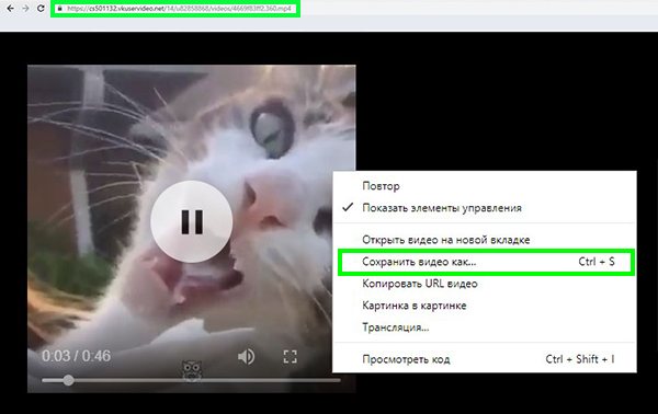 Сохранение видеозаписи