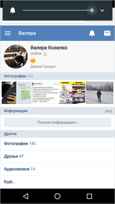 Страница в браузере на телефоне