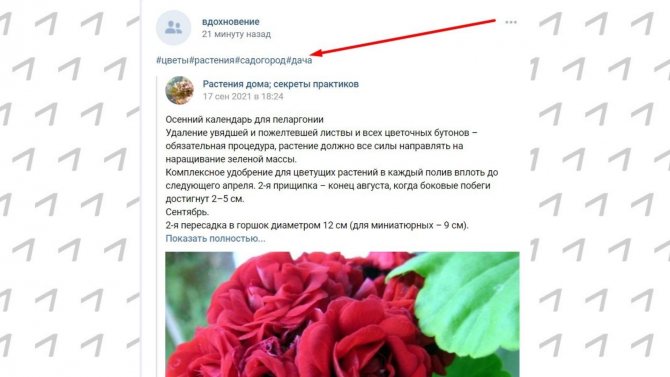 Так выглядят хештеги в ВК в опубликованном репосте