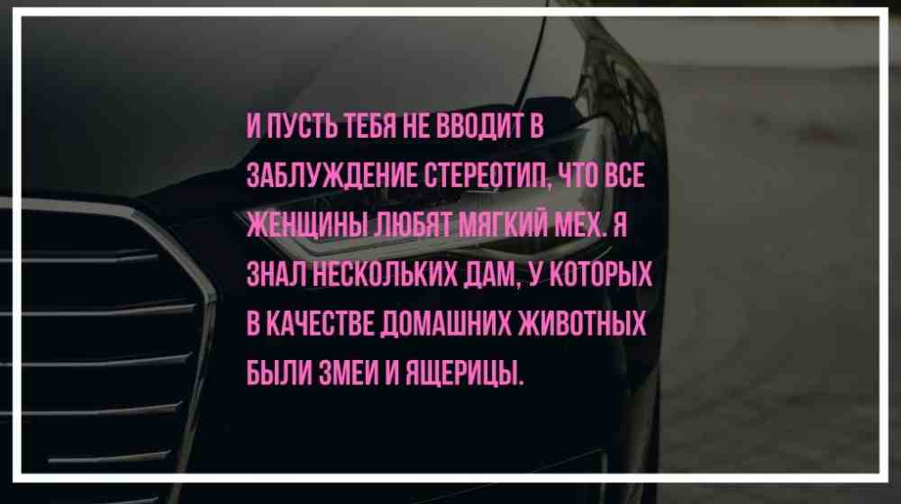 тема для разговора с девушкой вконтакте