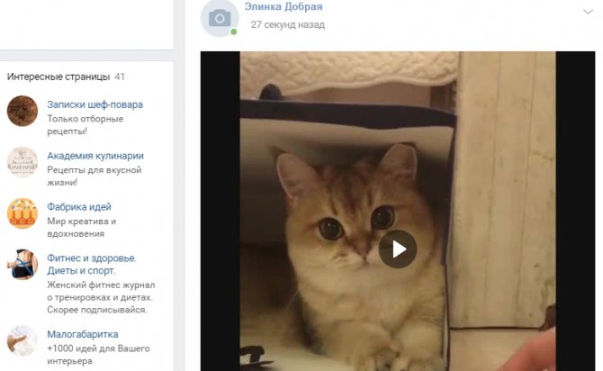Видео на стене