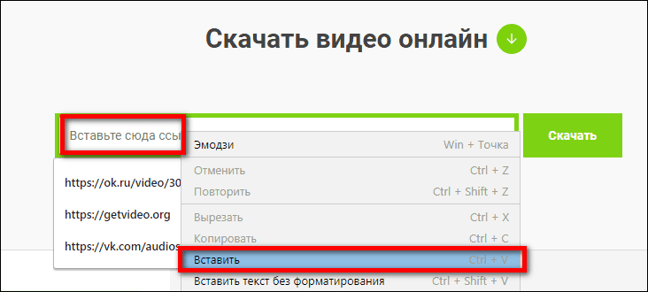 вставка ссылки в Savefrom.net