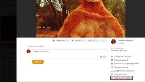 Выбираем пункт удалить фотографию